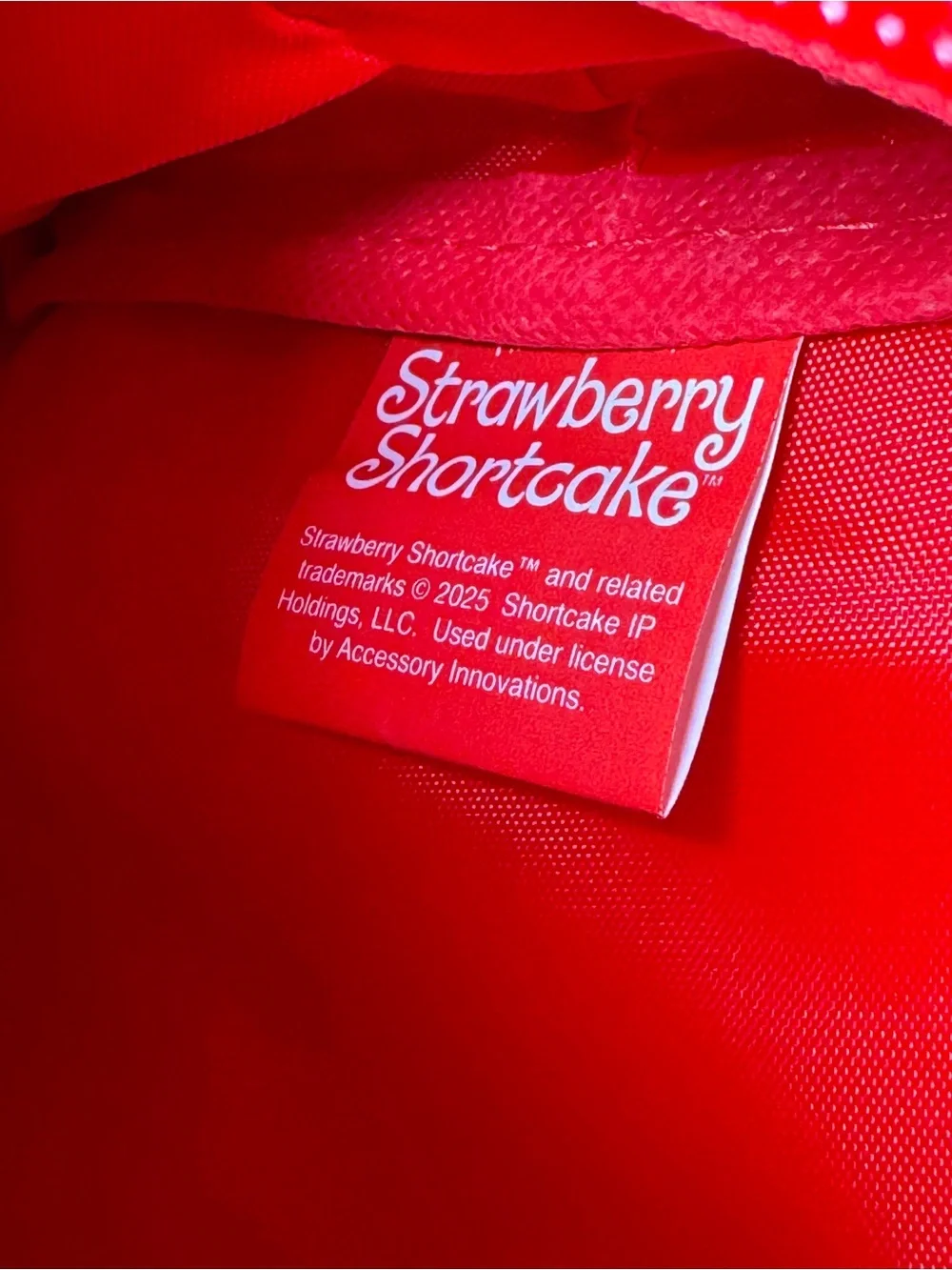 Strawberry Shortcake Pink Mini Backpack